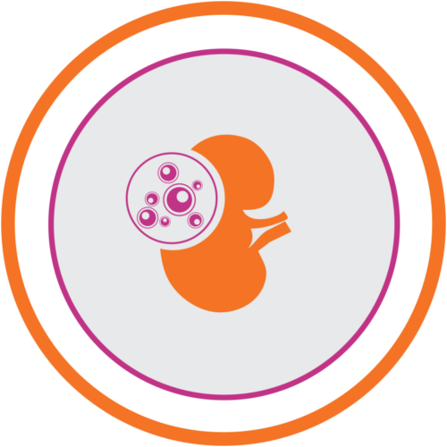 Kidney transplant Transplant Australia