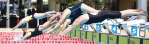 Swimmers diving off blocks